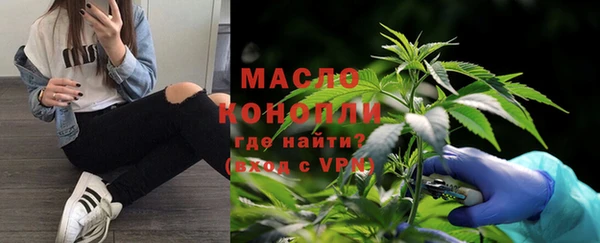 мет Дмитров