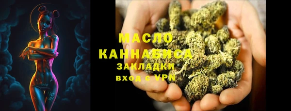 мет Дмитров