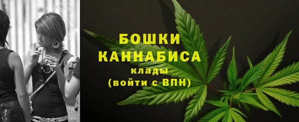 кокс Дмитриев