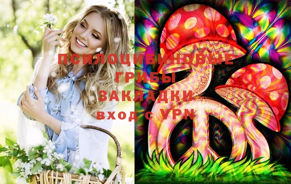 мет Дмитров
