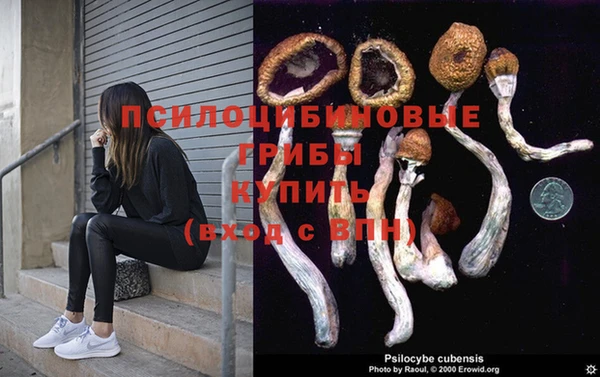 кокс Дмитриев