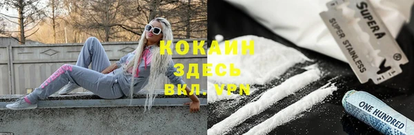 кокс Дмитриев