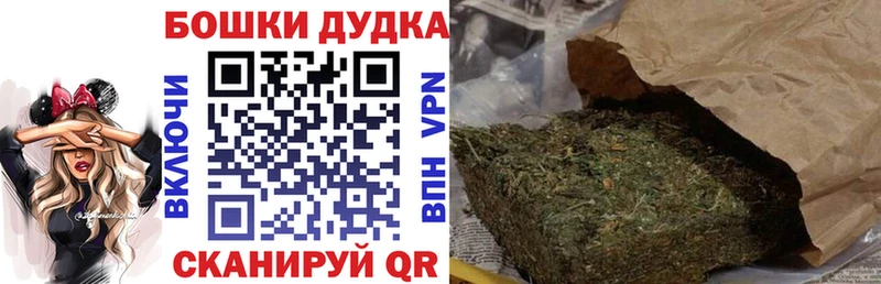 Бошки Шишки Amnesia  Обоянь 