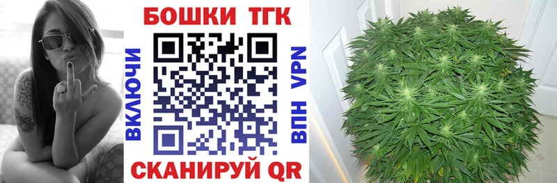 Бошки Шишки марихуана Обоянь